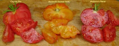 Fleisch2-1-1-1.webp