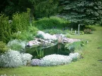 Garten im Mai 2004 015.webp