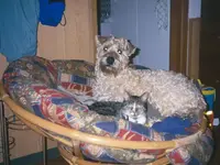 HZ_TM0481.webp