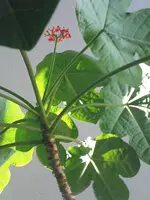 DSC00006.webp
