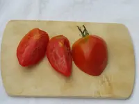 IMG_Treml Herztomate.webp
