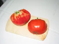 IMG_0825 Treml Fleischtomate.webp