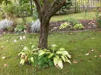 Garten im September3 040.webp