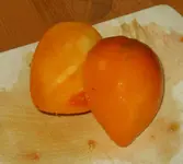 IMG_0802 Orange Herztomate1.webp