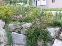 Mauer.webp