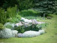Alter Teich 001.webp