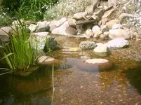 Alter Teich 002.webp
