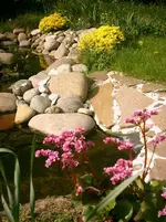 Alter Teich 006.webp