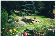 Alter Teich 007.webp