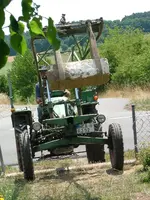 2008_0712Teich0002.webp
