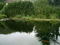 Teich 28.08.2008 024.webp