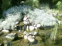 20080717_4.webp