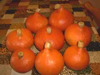 IMAG0077.webp