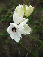 DSC00471.webp