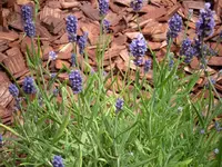 333 0102.webp
