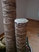 DSC00701.webp