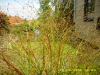 Test 692.webp