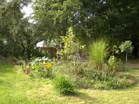 CIMG2740.webp