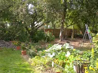 CIMG2741.webp