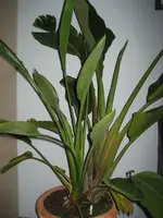IMG_1054.webp