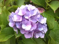 Bild002.webp