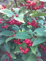 Bild004.webp
