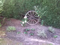 Bild005.webp