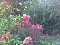 Bild008.webp