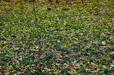 IMG_0285.webp