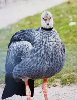 _MG_1727.webp