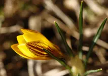 _MG_1940.webp