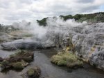 11_Rotorua-Te Puia-Geysir-Feld (8).jpg