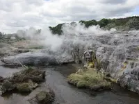 11_Rotorua-Te Puia-Geysir-Feld (8).webp