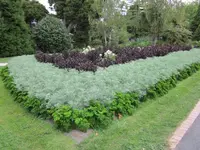 40_Rotorua-Government Garden (3).webp