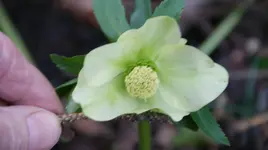 DSC04707.webp