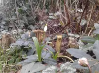 P060211_16.13.webp