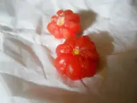 DSCN0505.webp