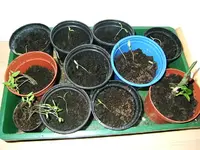 DSCF4902.webp