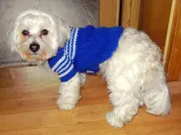 SDC13067.webp