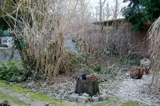 Haus_2011_02_01.webp