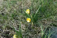 P1200113.webp