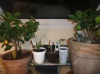 DSCF2389.webp
