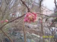 100_2735.webp