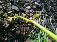 02_09_6.webp