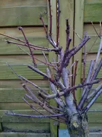 Foto2.webp