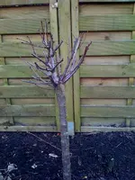 Foto3.webp
