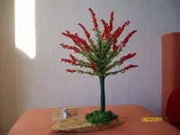 ALIM2995.webp