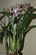 DSC_7703.webp