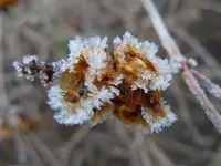 Samenstand1052.webp