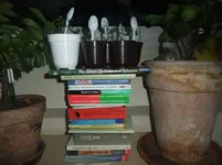 DSCF2390.webp